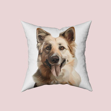 PILLOWS
